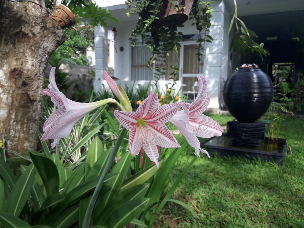 Villa Olga Unawatuna Exterior photo
